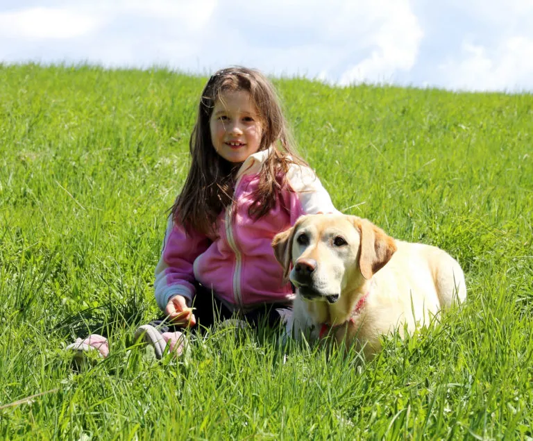 Cães de serviço ao autismo veja os benefícios de ter um amigo de quatro patas